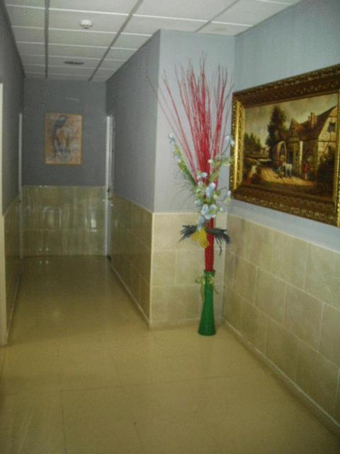 Hostal Ds Velilla de San Antonio Zewnętrze zdjęcie